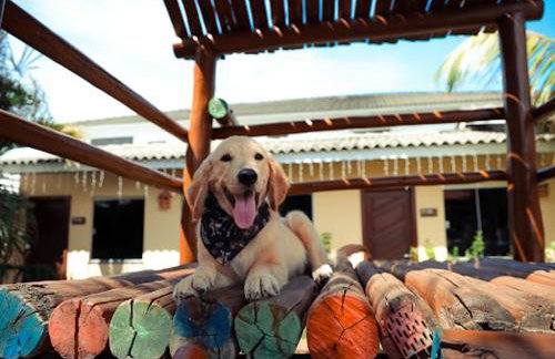 Hotel Pousada Villas do Atlantico 2 min a pe da praia do Buraco da Velha - Foto 11