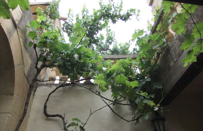 Ta Martin Farmhouse - Holiday Home In Gozo, Malta - Foto 15