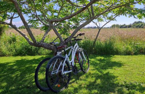 La Bulle Bigoudène - Foto 6
