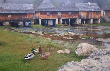 Gacka-Beautiful Place in Nature - Foto 42