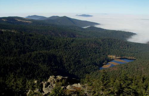 Appartement im Himmelreich - Foto 15