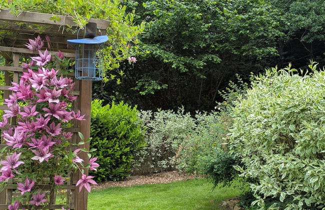 Nice Chalet by the Woods in Saint-leger - Foto 20