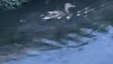 Laghi di Como appartamento di Licinia e Mario - Foto 4