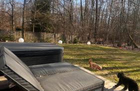 Chill ChaTka Osowiec Las&SPA pod Warszawą - Foto 40