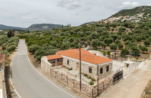 Alma Living - Foto 26