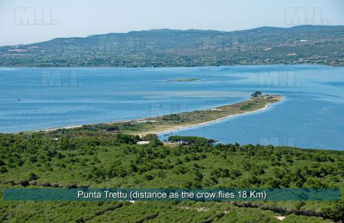 Il Fenicottero - Foto 31