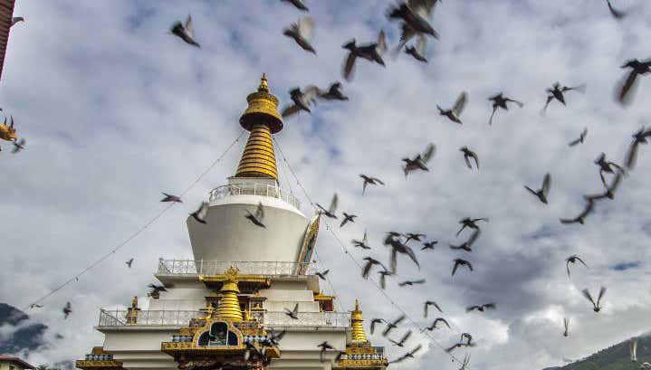 Bhutan 8 Day Private Tour