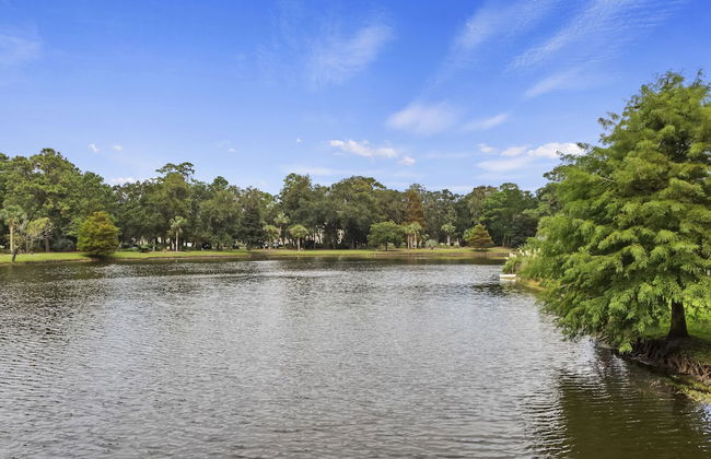 Evian by Hilton Head Retreats - Foto 60