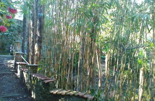 La Camelia d'Oro - Foto 34