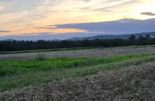 Bungalow, Uneinsehbar, 8 Personen maximal, 3 Personen oben, 5 unten - Foto 36
