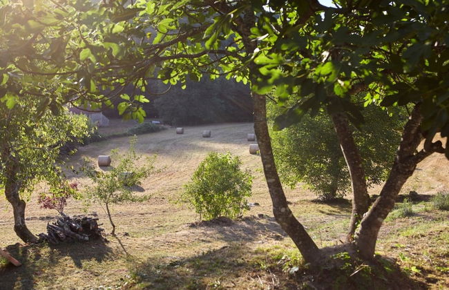 Le Gîte étoilé - Foto 20