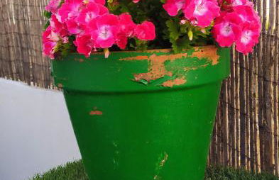 Casa Museo Jerez Centro - Foto 57