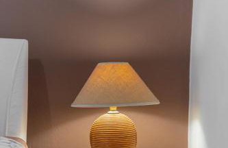 Lemon Tree House - Photo 19