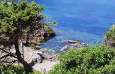 App - Il Fenicottero con parcheggio gratuito ad Orbetello - Foto 43