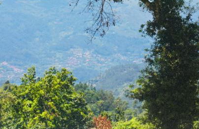 Gerês - Casa da Cabana - Foto 20