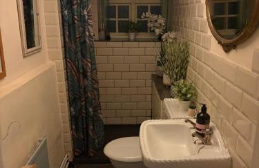 Historic Charm Garden Flat Adjoining Central Park - Foto 4