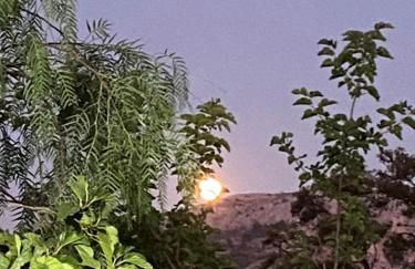 AGROTOPIA Guesthouses - Foto 60