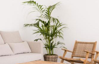 Bossa Bay Suites with Private Pool - MC Apartments Ibiza - Foto 72