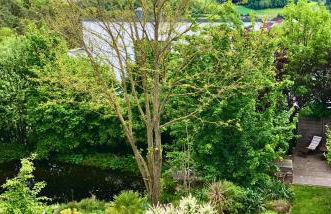 Ferienwohnung Teichblick - Foto 1