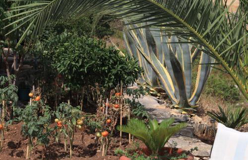 House JANA - Foto 11