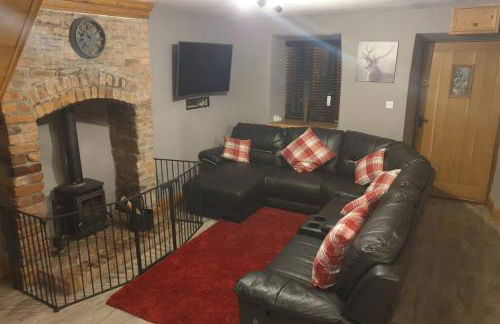 Cosy Minffordd Let - Llanuwchllyn near, Bala LL23 - Photo 10