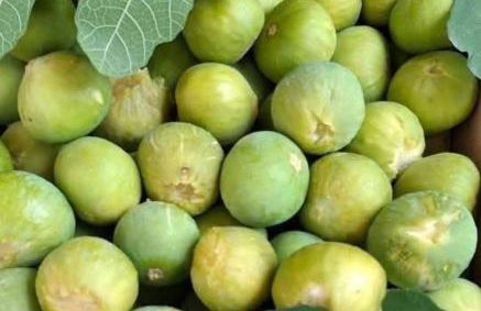 Casa Vacanza Don Carmelo - Foto 17