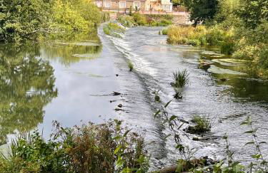 Beautiful stylish 2 bed apartment with free parking - Photo 31