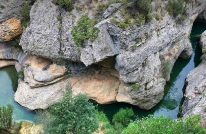 Ulldemolins Niuet - Foto 47