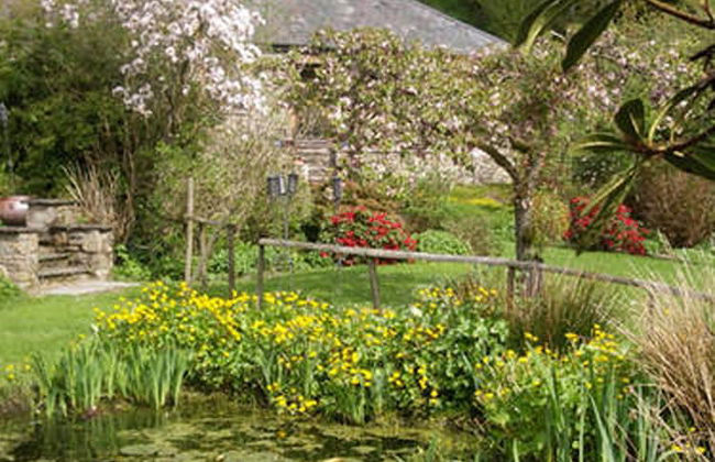 Cwm Irfon Lodge Cottages - Photo 29