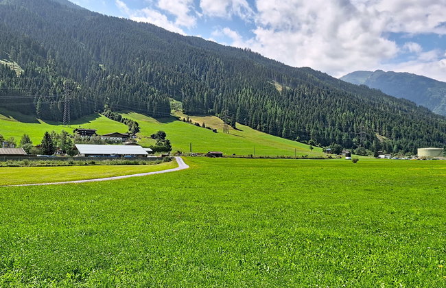 Wieser - Foto 44