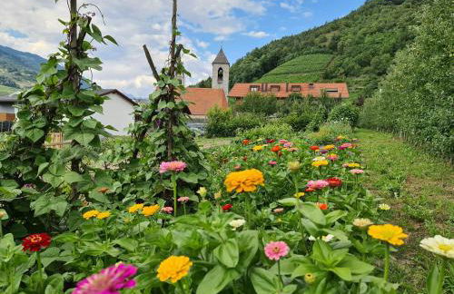 Kircherhof - Foto 47