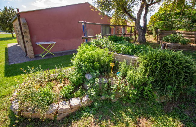 Agriturismo Torribasse - Foto 20