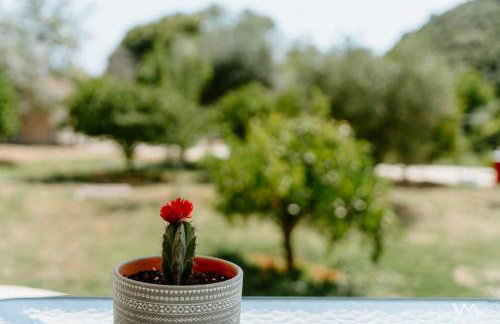 Oikies Verde - Foto 35