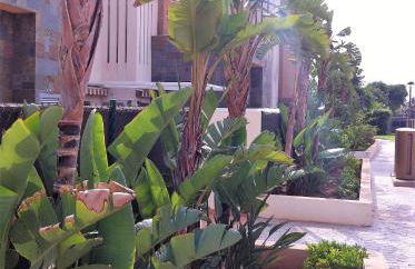 oasis del toyo golf&beach private garden wifi - Foto 40