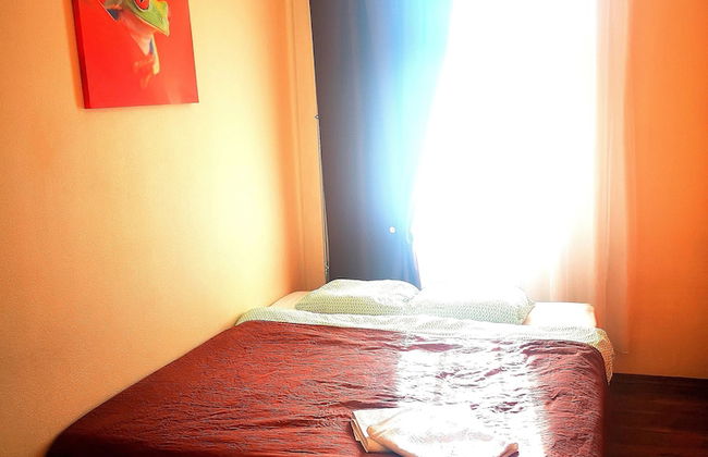 Orange Studio - Photo 65