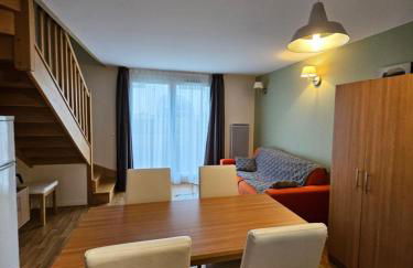 Le Nivelet - Duplex aux pieds des pistes toute l'année - Foto 19