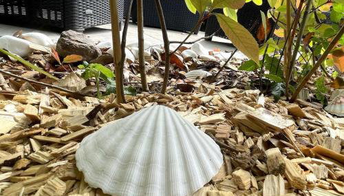 Croyde Wonky Cottage 1 Bedroom - Foto 5