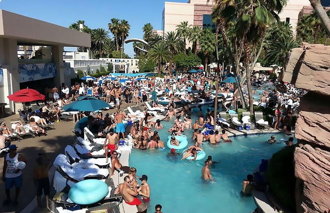 Signature Affordable Luxury - Foto 16