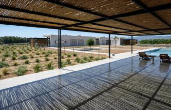 Bouca Houses - Foto 6