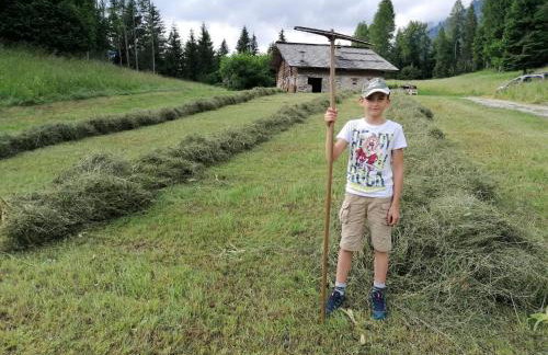 Baita Pra Petina Pale di San Martino - Photo 21
