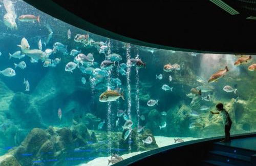 Tranditional Stone House - Foto 40