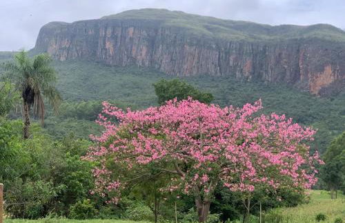 Chale Vale das Cachoeiras - Foto 45