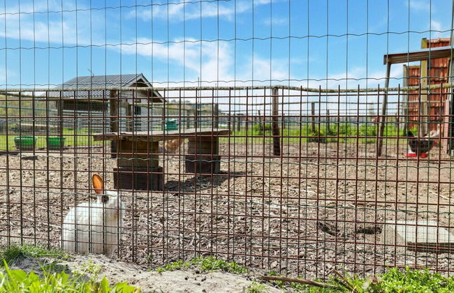 Cottage on Sheep Farm With Gelateria - Foto 31