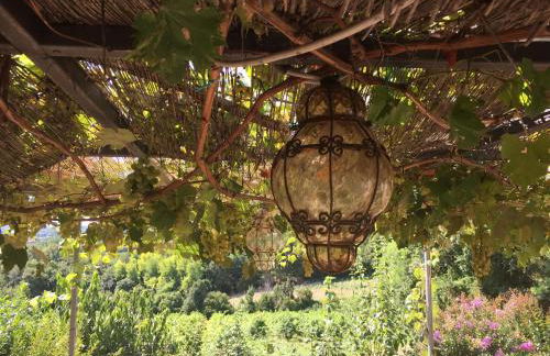 Podere di Costabella - Foto 13