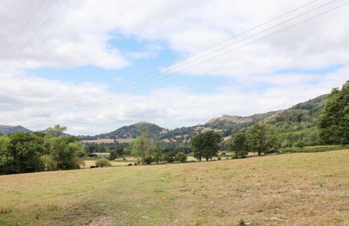 Bryn Howell Stables - Photo 39