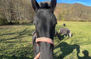 Cascina Canale - Foto 4