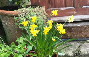 Dove Cottage - Foto 64