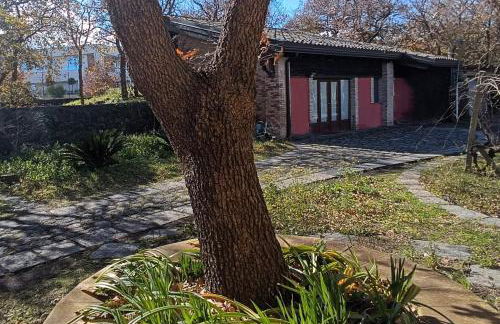 La pietra lavica - Foto 2