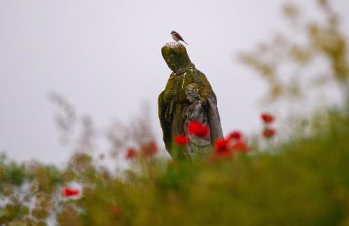 Apartamenty na Wzgórzu Boho 1- Jacuzzi, sauna, survival, free parking - Foto 37