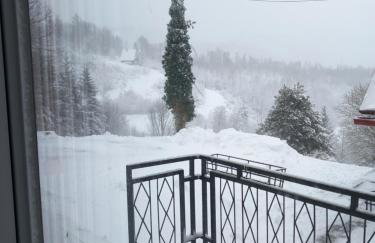 Apartman Purga - Foto 21